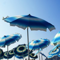 Liguria – La coltivazione degli ombrelloni