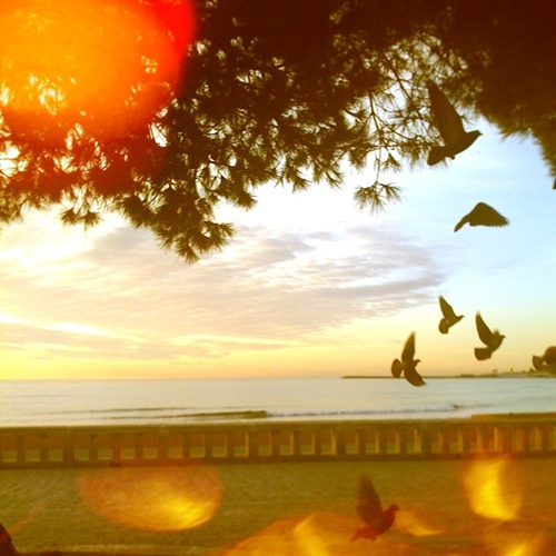 iliguria_21 dicembre 2011