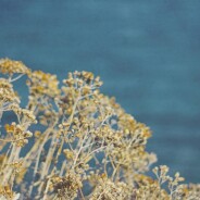 Imperia Diano Marina – The road that does not exist