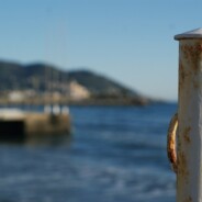 Diano Marina – La passeggiata del ventisei dicembre