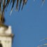 Bordighera – E il segreto della cittÃ  vecchia