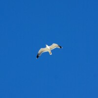 Imperia – il parcheggio