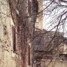 Castelvecchio di Rocca Barbena – 176 abitanti (di cui uno cinese) e un cane
