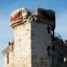 Finalborgo – Lupo ululÃ , castello… ululÃ¬?!