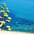 Liguria – il fiore dell’agave