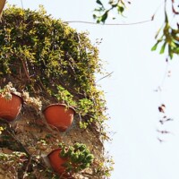 Bussana Vecchia – hippie hippie urrÃ !